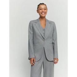 Blazer sfiancata in jersey grigio vista anteriore indossata
